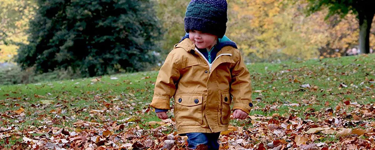 things to do in brantford this fall