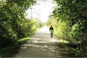 west brant hiking trails