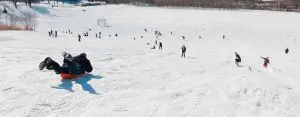 safe tobogganing in brantford
