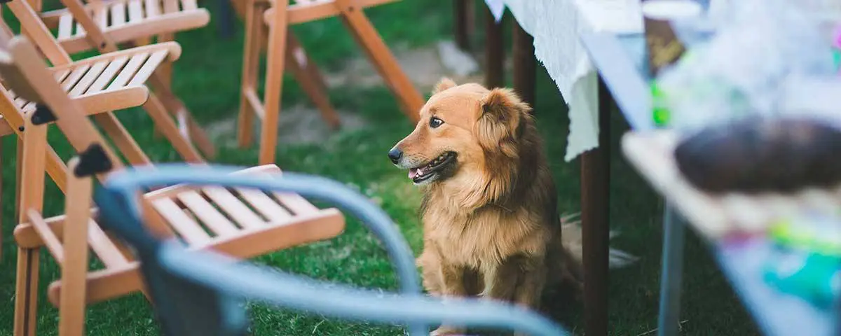 eco-friendly-party-ideas