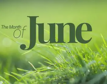 june in brantford