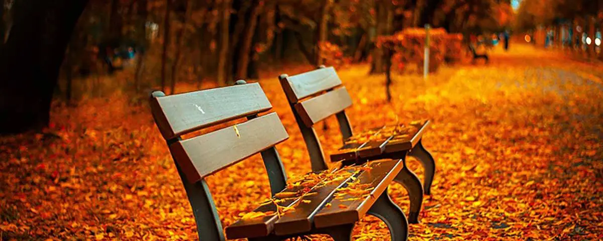 brantford-listings-in-the-fall