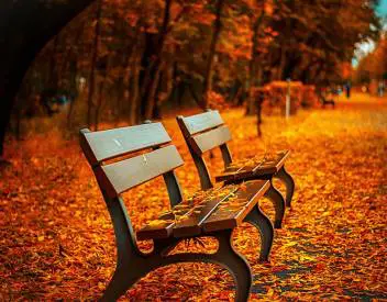 brantford-listings-in-the-fall