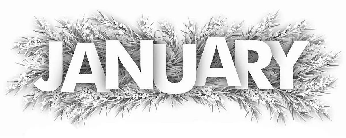 things to do in brant county january 2020