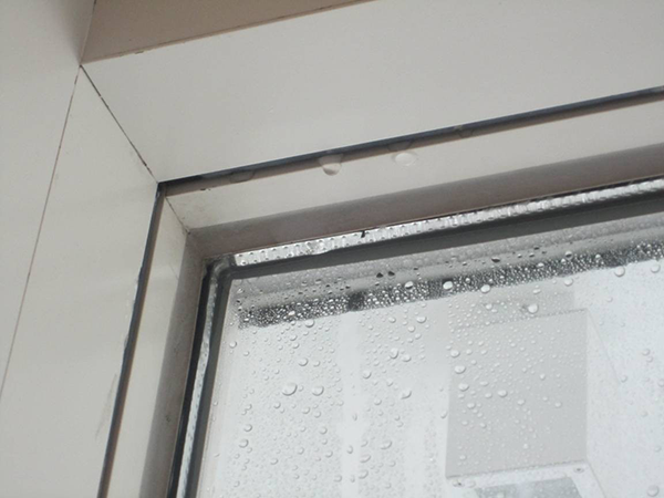window-inspection