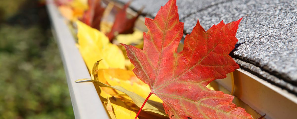 getting your brantford home ready for fall and winter