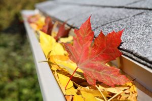 getting your brantford home ready for fall and winter