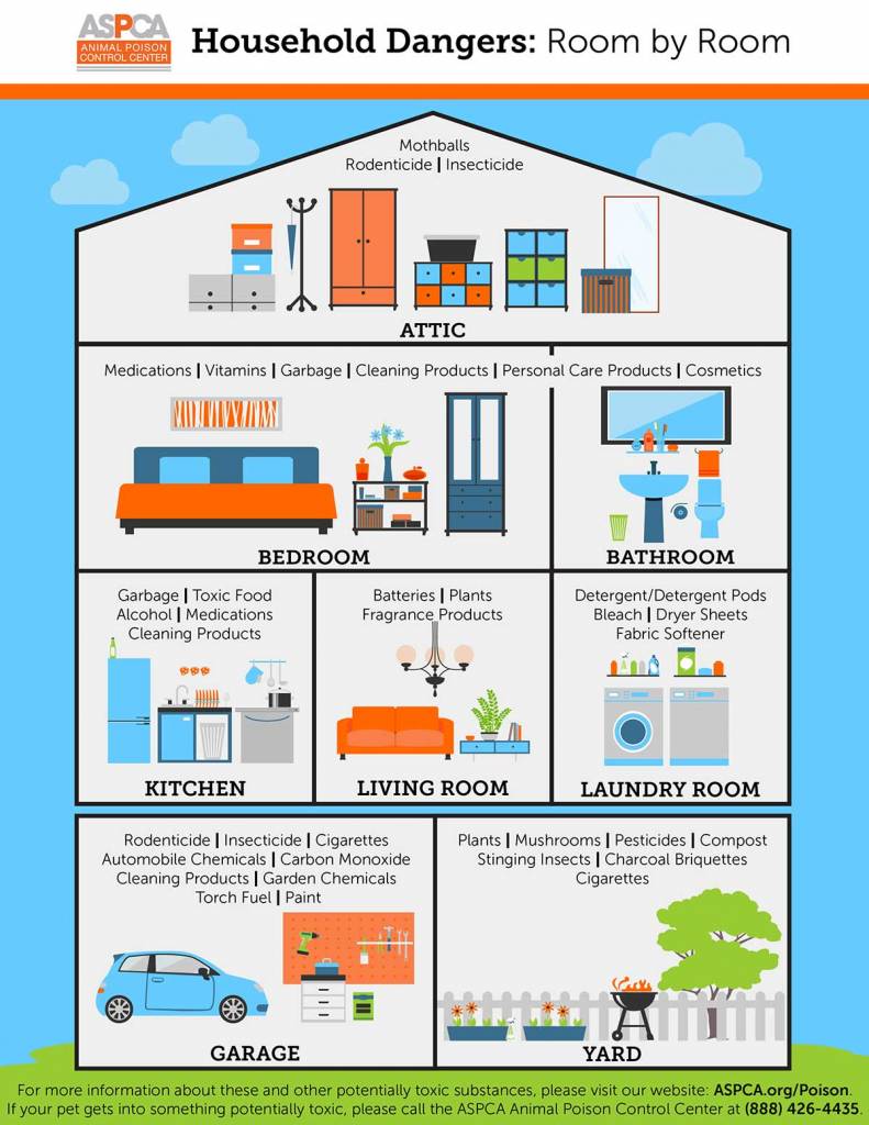 Common Hazards in Your Home – The Munir Group – Brantford Realtors