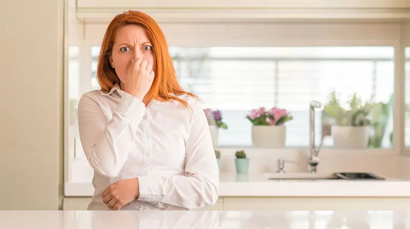 Using your sense of smell to assess a home's condition
