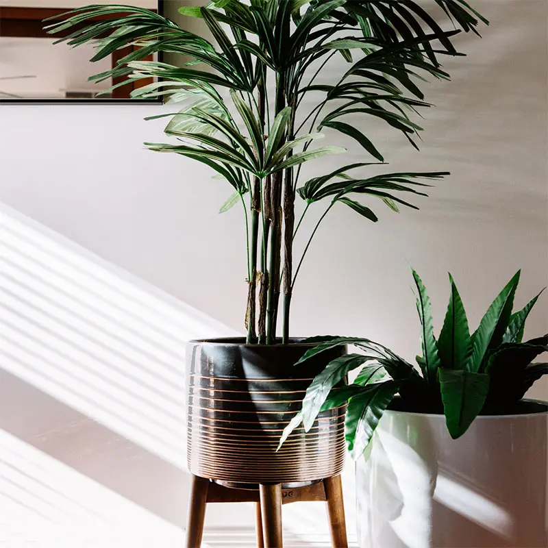 Fresh plants and flowers used to stage a home
